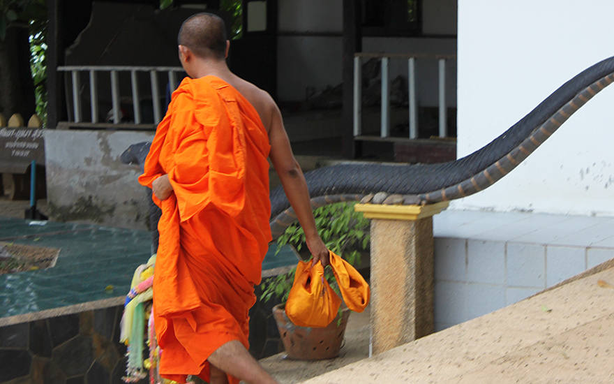 Mönch Thailand