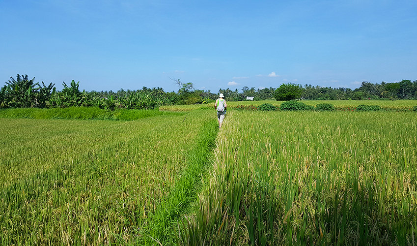 Bali