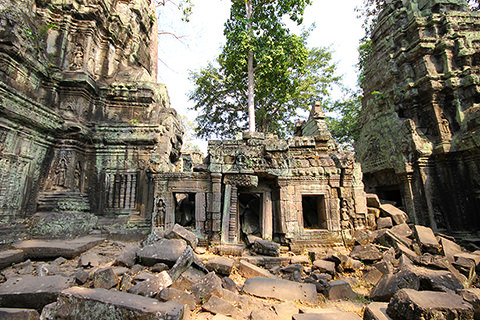 1. Ta Prohm