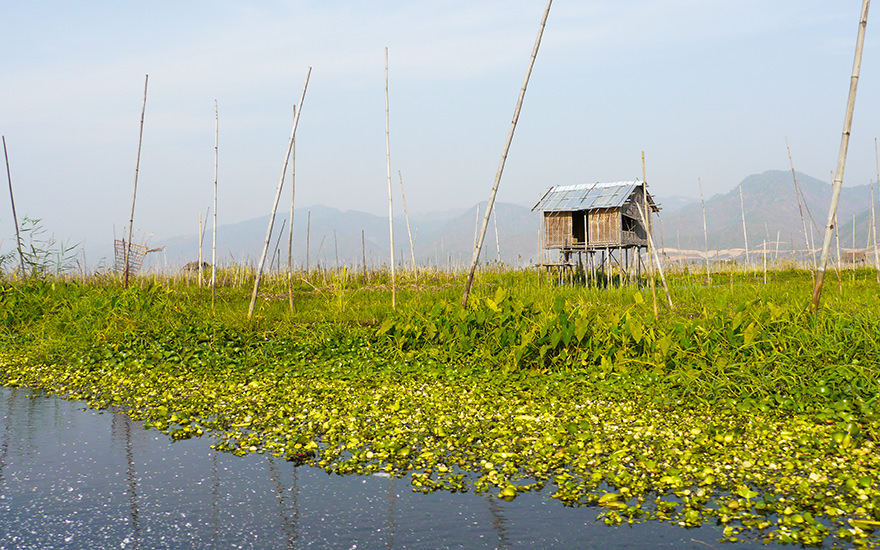 Schwimmende Gärten, Inle-See