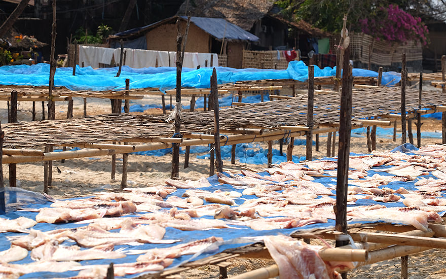 Getrocknete Fische Gyeiktaw